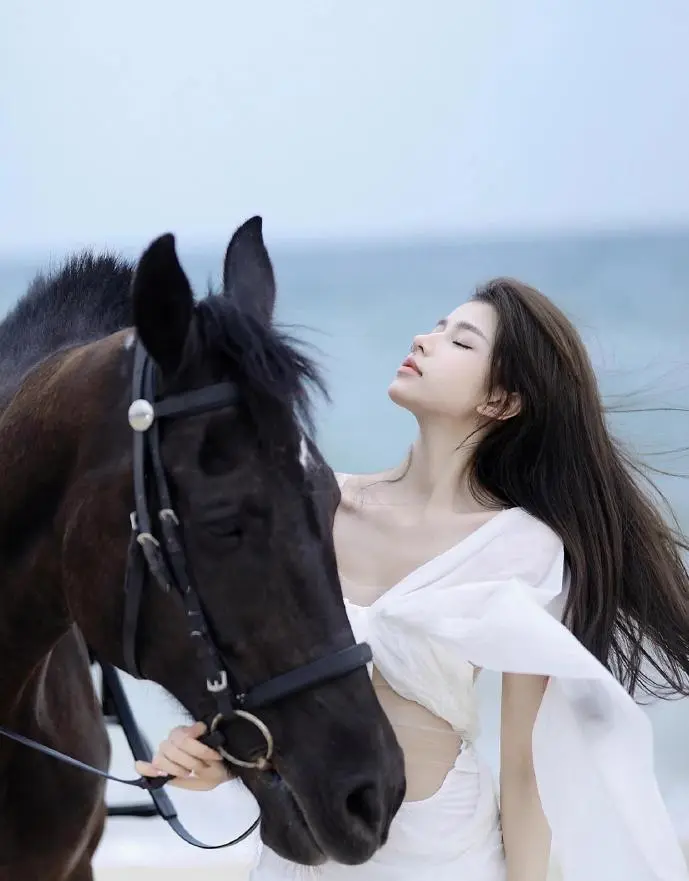 Lib下载风险示意图